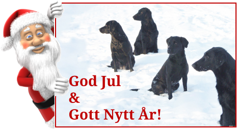 God Jul & Gott Nytt År!